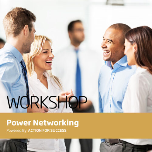 Workshop “Power Networking”
